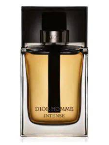 عطر ادکلن دیور هوم اینتنس - dior homme intense 2011 elysom - خرید ادکلن مردانه هوم اینتنس