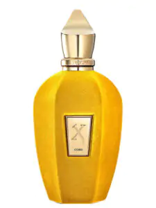 عطر ادکلن زرجوف کورو (سلفریجز اکسکلوسیو) - Xerjoff Xerjoff Coro (Selfridges Exclusive) - ادکلن و عطر کورو (سلفریجز اکسکلوسیو) زرجوف - الیسوم Elysom.com