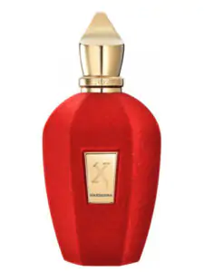 عطر ادکلن زرجوف وارداسینا - Xerjoff Xerjoff Wardasina - ادکلن و عطر وارداسینا زرجوف - الیسوم Elysom.com