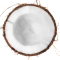 ادکلن های با نت نارگیل (Coconut)