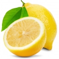 ادکلن های با نت لیمو ترش (Lemon)