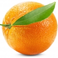 ادکلن های با نت پرتقال (Orange)