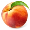 ادکلن های با نت هلو (Peach)